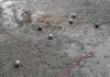 Boule-DM -1_0004-07