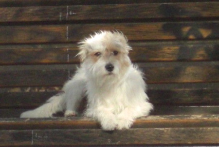 Teufelturnier August 2007  G�ste 048ea