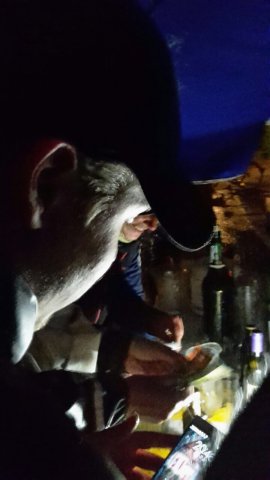 Salatgartenturnier 2017